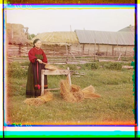 Russian peasant breaking flax